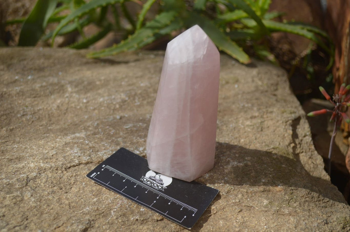 Polished Pink Rose Quartz Points x 4 From Madagascar - Toprock Gemstones and Minerals 