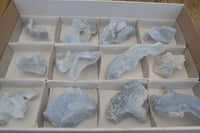 Natural Etched Blue Chalcedony Specimens  x 12 From Malawi - Toprock Gemstones and Minerals 