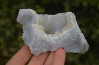 Natural Etched Blue Chalcedony Specimens  x 12 From Malawi - Toprock Gemstones and Minerals 