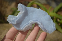 Natural Etched Blue Chalcedony Specimens  x 12 From Malawi - Toprock Gemstones and Minerals 