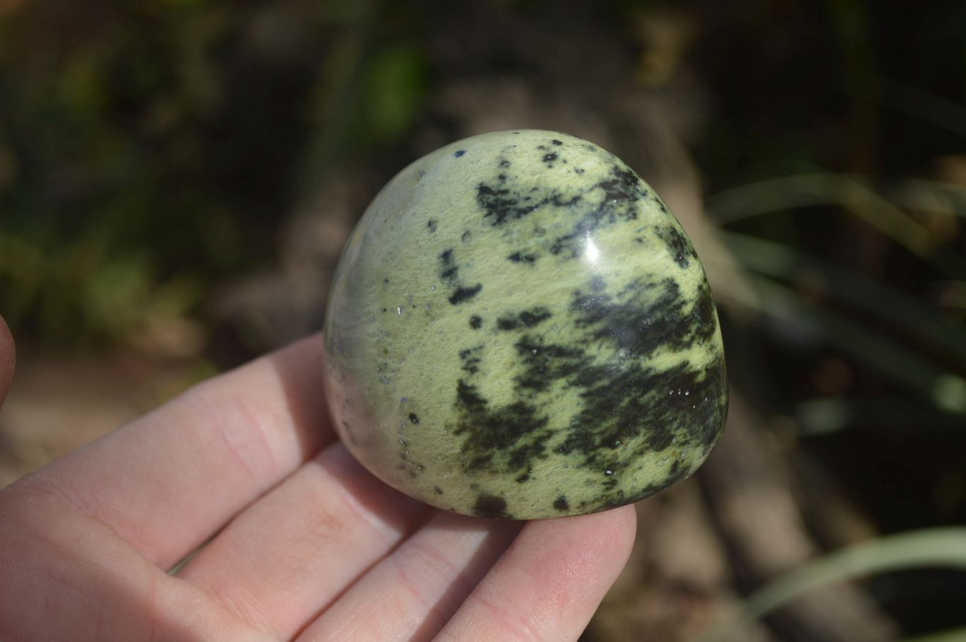 Polished Leopard Stone Standing Free Forms  x 6 From Zimbabwe - Toprock Gemstones and Minerals 