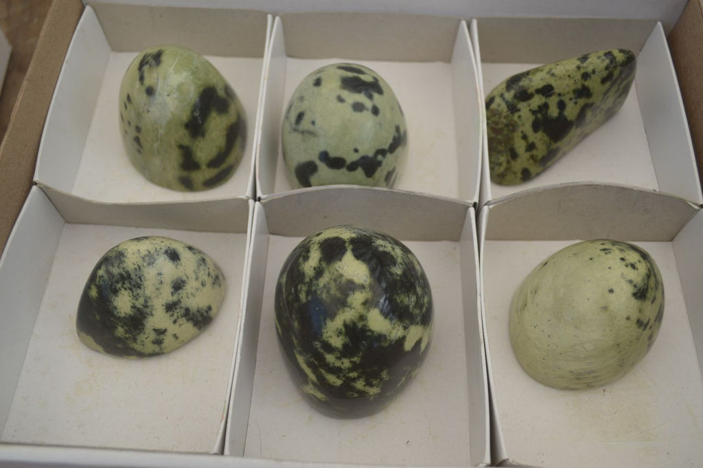 Polished Leopard Stone Standing Free Forms  x 6 From Zimbabwe - Toprock Gemstones and Minerals 