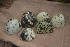 Polished Leopard Stone Standing Free Forms  x 6 From Zimbabwe - Toprock Gemstones and Minerals 