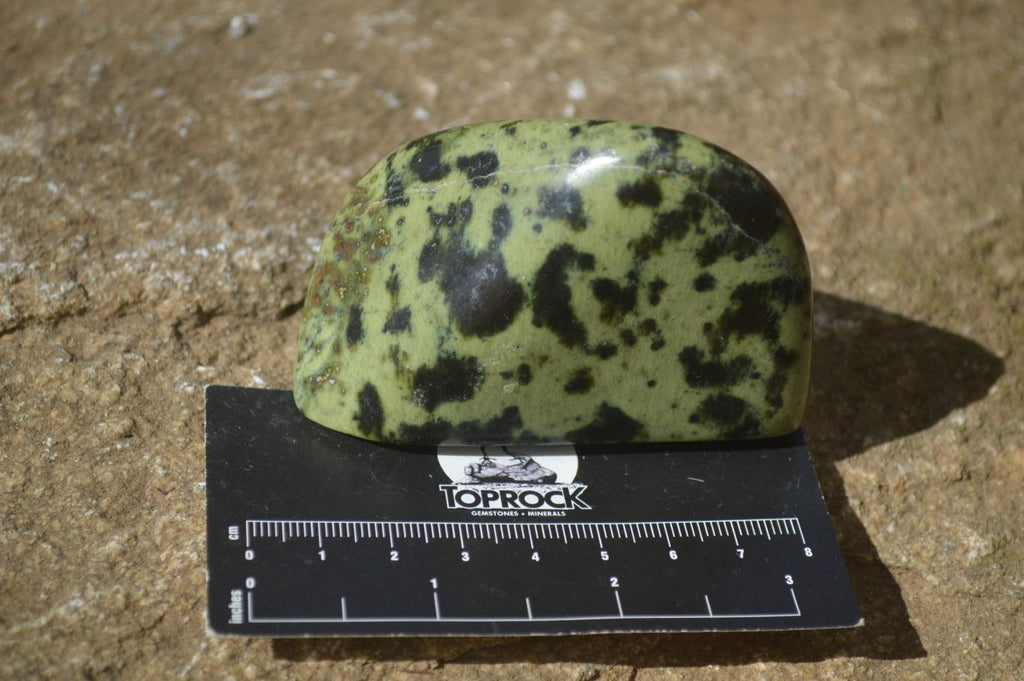 Polished Leopard Stone Standing Free Forms  x 6 From Zimbabwe - Toprock Gemstones and Minerals 