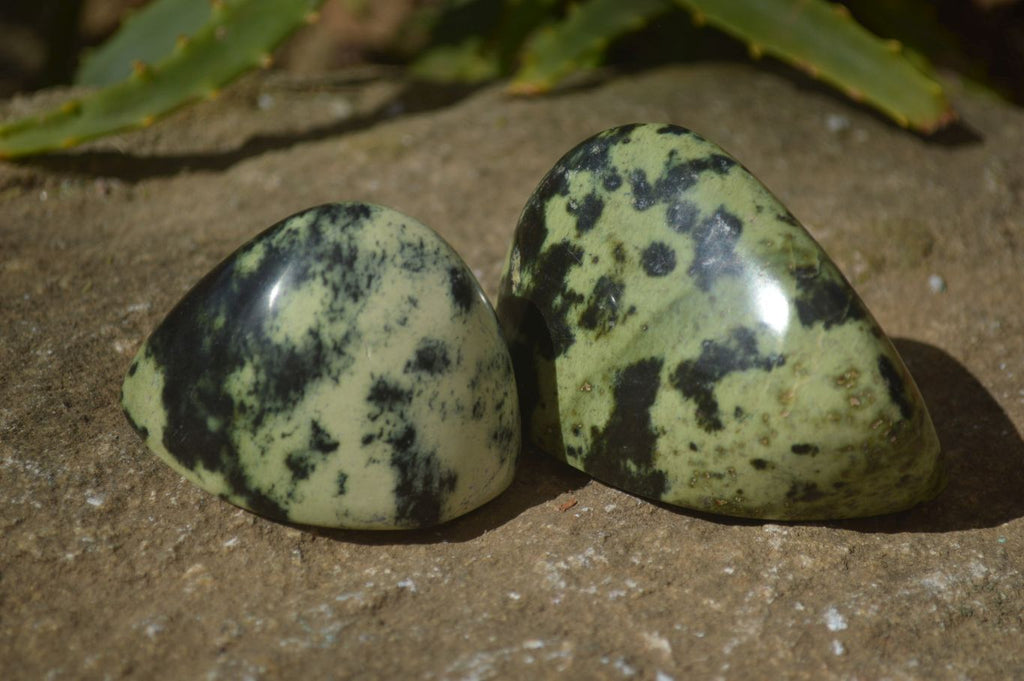Polished Leopard Stone Standing Free Forms  x 6 From Zimbabwe - Toprock Gemstones and Minerals 