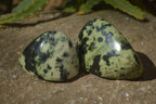 Polished Leopard Stone Standing Free Forms  x 6 From Zimbabwe - Toprock Gemstones and Minerals 
