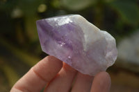 Polished Jacaranda Amethyst Crystals x 12 From Zambia - Toprock Gemstones and Minerals 
