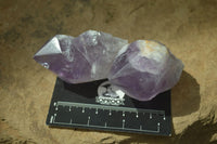 Polished Jacaranda Amethyst Crystals x 12 From Zambia - Toprock Gemstones and Minerals 