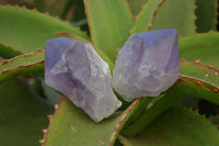 Polished Jacaranda Amethyst Crystals x 12 From Zambia - Toprock Gemstones and Minerals 