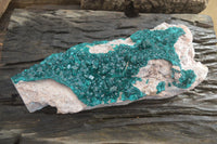 Natural XXL Emerald Dioptase Dolomite Specimen  x 1 From Congo
