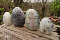 Polished Dendritic White Opal Standing Free Forms  x 4 From Madagascar - Toprock Gemstones and Minerals 