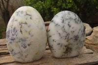 Polished Dendritic White Opal Standing Free Forms  x 4 From Madagascar - Toprock Gemstones and Minerals 
