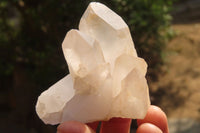 Natural Clear Quartz Clusters  x 12 From Madagascar - Toprock Gemstones and Minerals 