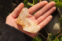 Natural Clear Quartz Clusters  x 12 From Madagascar - Toprock Gemstones and Minerals 