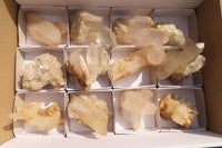 Natural Clear Quartz Clusters  x 12 From Madagascar - Toprock Gemstones and Minerals 