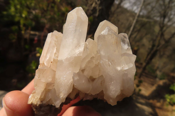 Natural Clear Quartz Clusters  x 12 From Madagascar - Toprock Gemstones and Minerals 