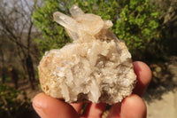 Natural Clear Quartz Clusters  x 12 From Madagascar - Toprock Gemstones and Minerals 