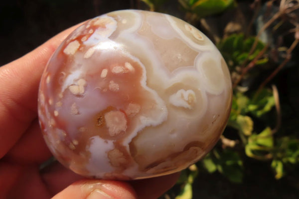 Polished Ocean Flower Agate Galets  x 12 From Madagascar - Toprock Gemstones and Minerals 