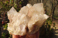 Natural Cascading Smokey Quartz Clusters  x 2 From Congo - Toprock Gemstones and Minerals 