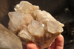 Natural Cascading Smokey Quartz Clusters  x 2 From Congo - Toprock Gemstones and Minerals 