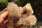 Natural Cascading Smokey Quartz Clusters  x 2 From Congo - Toprock Gemstones and Minerals 