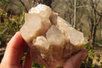 Natural Cascading Smokey Quartz Clusters  x 2 From Congo - Toprock Gemstones and Minerals 