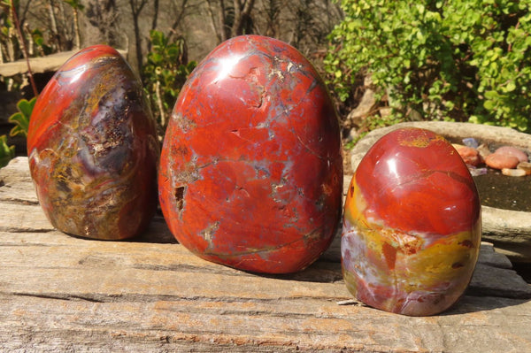 Polished Red Jasper Standing Free Forms  x 3 From Southern Africa - Toprock Gemstones and Minerals 