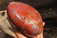 Polished Red Jasper Standing Free Forms  x 3 From Southern Africa - Toprock Gemstones and Minerals 