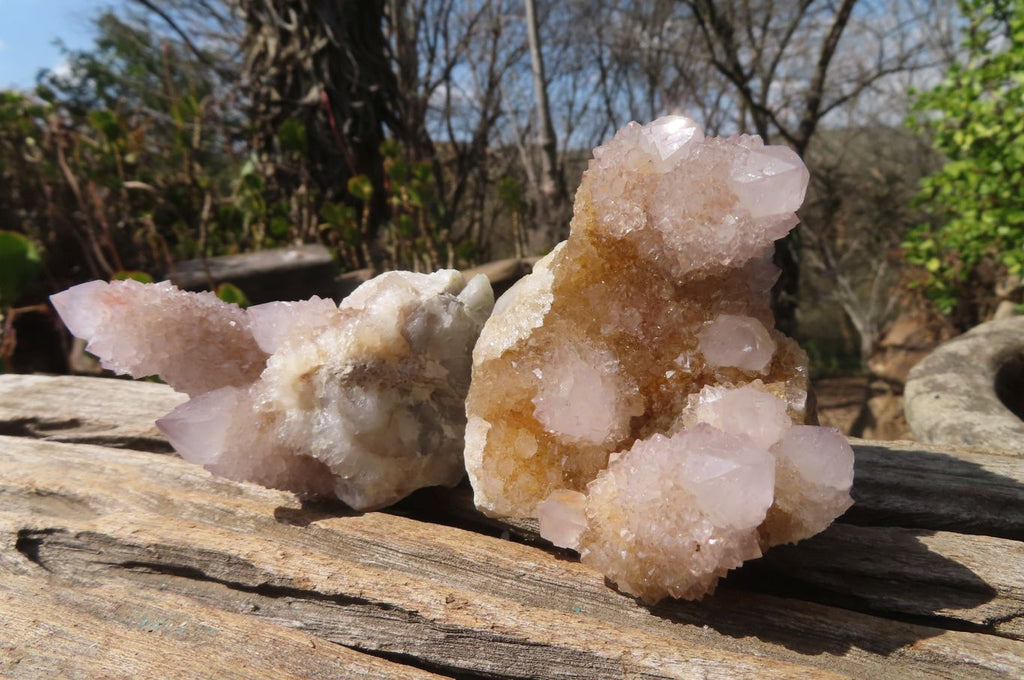 Natural Ametrine Spirit Quartz Clusters x 12 From Boekenhouthoek, South Africa - Toprock Gemstones and Minerals 