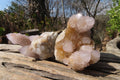 Natural Ametrine Spirit Quartz Clusters x 12 From Boekenhouthoek, South Africa - Toprock Gemstones and Minerals 