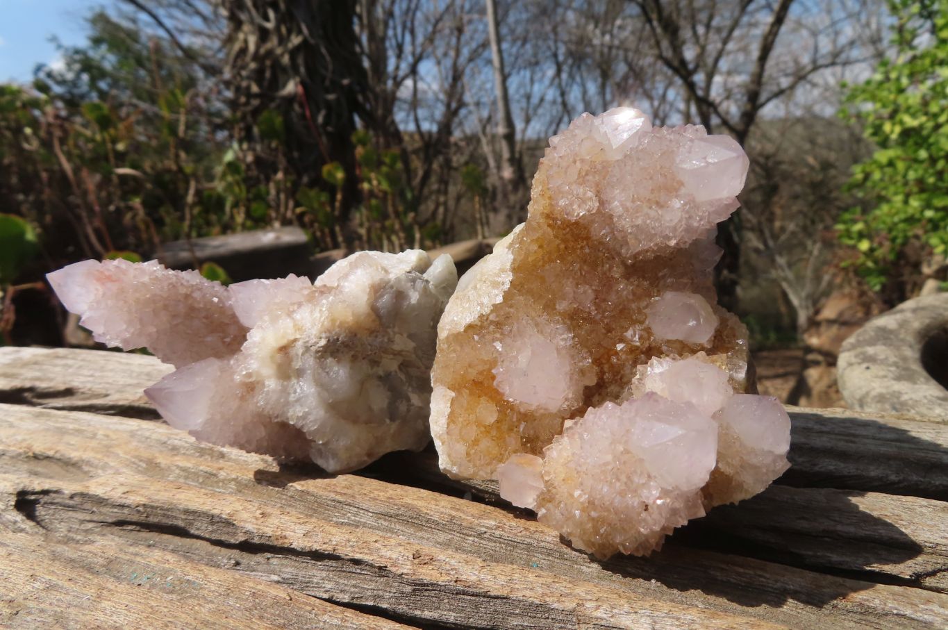 Natural Ametrine Spirit Quartz Clusters x 12 From Boekenhouthoek, South Africa - Toprock Gemstones and Minerals 
