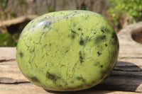 Polished Leopard Stone Galet / Palm Stones x 12 From Inyanga, Zimbabwe - Toprock Gemstones and Minerals 