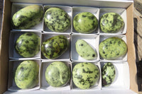 Polished Leopard Stone Galet / Palm Stones x 12 From Inyanga, Zimbabwe - Toprock Gemstones and Minerals 