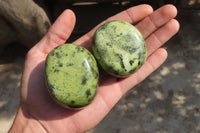 Polished Leopard Stone Galet / Palm Stones x 12 From Inyanga, Zimbabwe - Toprock Gemstones and Minerals 