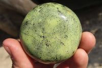Polished Leopard Stone Galet / Palm Stones x 12 From Inyanga, Zimbabwe - Toprock Gemstones and Minerals 