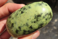 Polished Leopard Stone Galet / Palm Stones x 12 From Inyanga, Zimbabwe - Toprock Gemstones and Minerals 