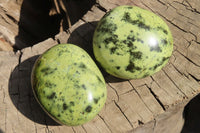 Polished Leopard Stone Galet / Palm Stones x 12 From Inyanga, Zimbabwe - Toprock Gemstones and Minerals 