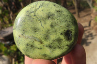 Polished Leopard Stone Galet / Palm Stones x 12 From Inyanga, Zimbabwe - Toprock Gemstones and Minerals 