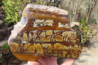 Polished One Side Nguni Jasper Specimens x 2 From Prieska, South Africa - Toprock Gemstones and Minerals 