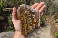 Polished One Side Nguni Jasper Specimens x 2 From Prieska, South Africa - Toprock Gemstones and Minerals 