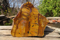 Polished One Side Nguni Jasper Specimens x 2 From Prieska, South Africa - Toprock Gemstones and Minerals 