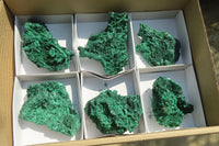 Natural Silky Malachite Specimens x 6 From Kasompe, Congo - Toprock Gemstones and Minerals 