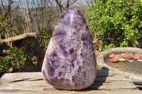 Polished Chevron Amethyst Standing Free Form x 1 From Madagascar - Toprock Gemstones and Minerals 