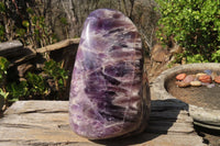 Polished Chevron Amethyst Standing Free Form x 1 From Madagascar - Toprock Gemstones and Minerals 