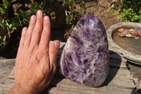 Polished Chevron Amethyst Standing Free Form x 1 From Madagascar - Toprock Gemstones and Minerals 