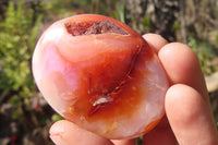 Polished Carnelian Agate Galet / Palm Stones x 12 From Madagascar - Toprock Gemstones and Minerals 