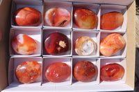 Polished Carnelian Agate Galet / Palm Stones x 12 From Madagascar - Toprock Gemstones and Minerals 