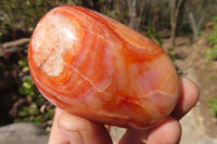 Polished Carnelian Agate Galet / Palm Stones x 12 From Madagascar - Toprock Gemstones and Minerals 