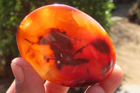Polished Carnelian Agate Galet / Palm Stones x 12 From Madagascar - Toprock Gemstones and Minerals 