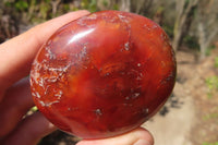 Polished Carnelian Agate Galet / Palm Stones x 12 From Madagascar - Toprock Gemstones and Minerals 